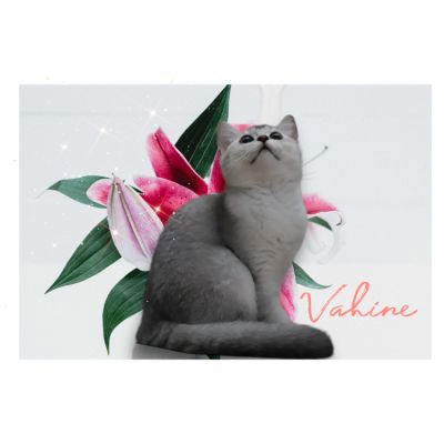 Vahiné Of British Archanges