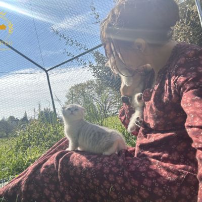 Sibelle,papyrus & les Trésors