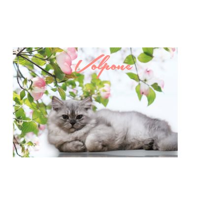 Volpone Of British Archanges