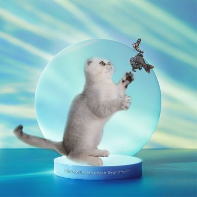 Timéo Of British Archanges