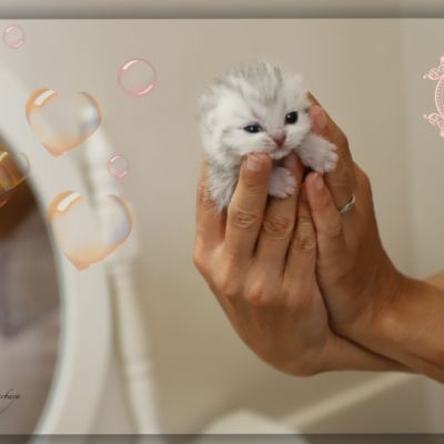 Nos archanges nées le 12 mai 2022