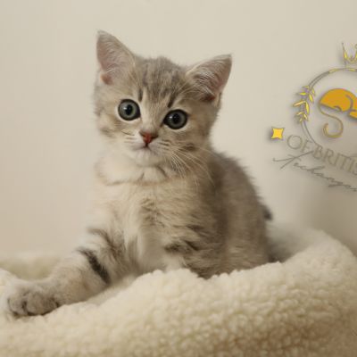 Ugho Of British Archanges