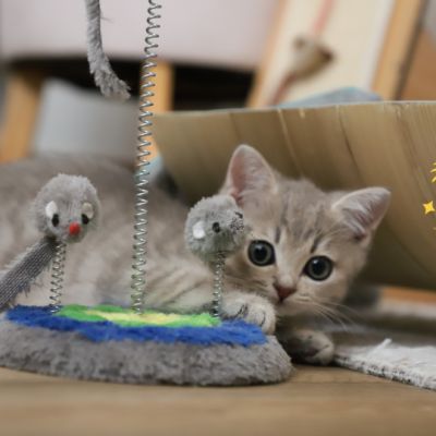 Ugho Of British Archanges