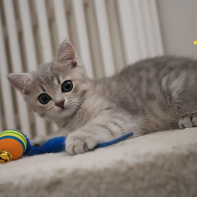 Ugho Of British Archanges