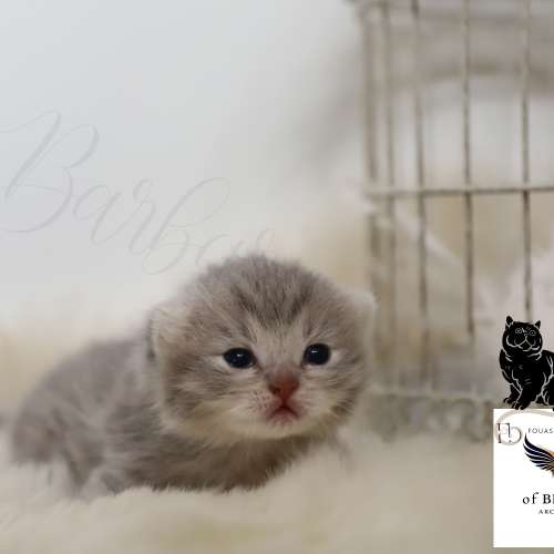 Athos Of Brtitish Archanges